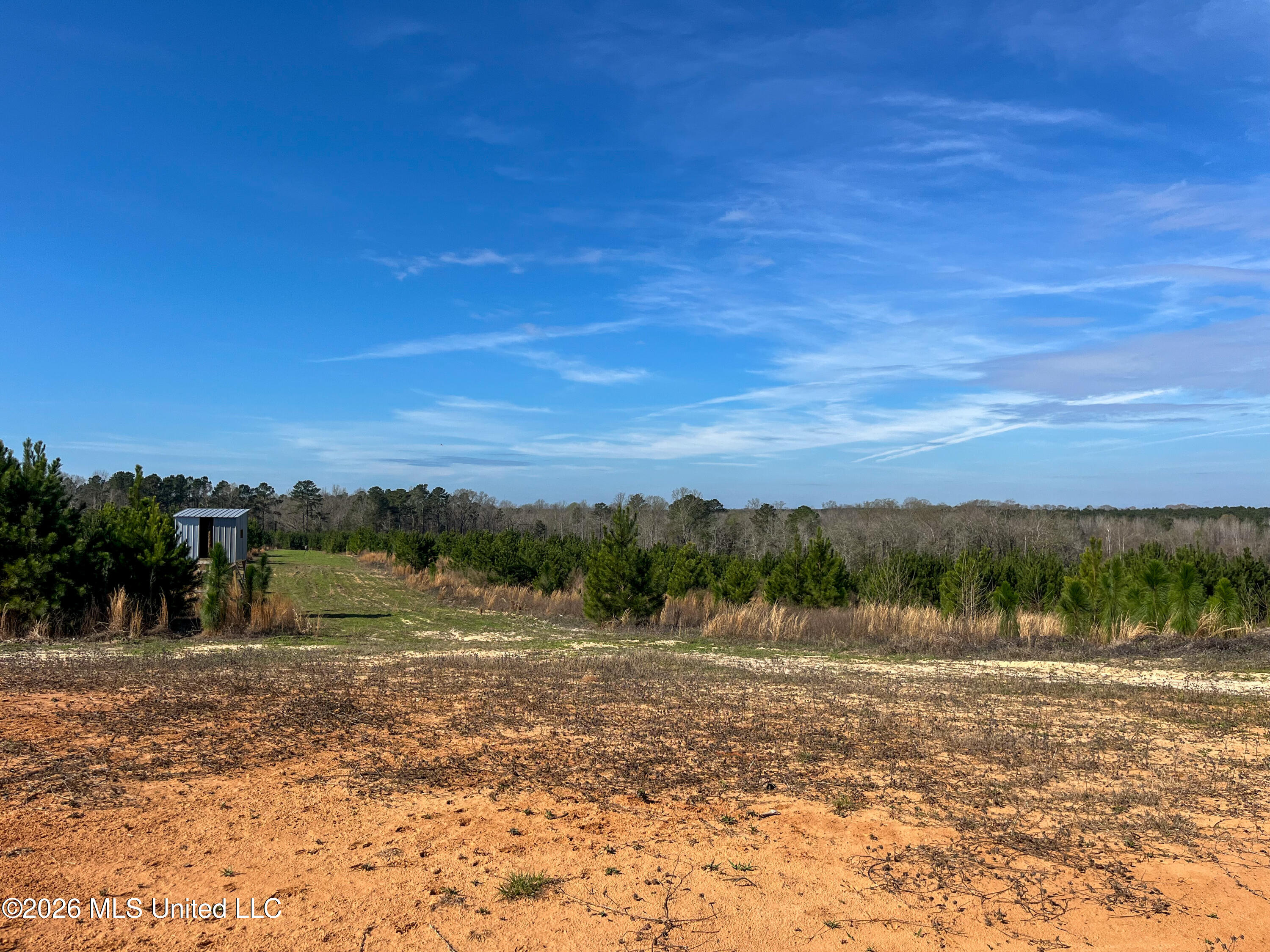 Liberty Church Road Newton, MS 39345 - Photo 30 of 49 IMG_2537