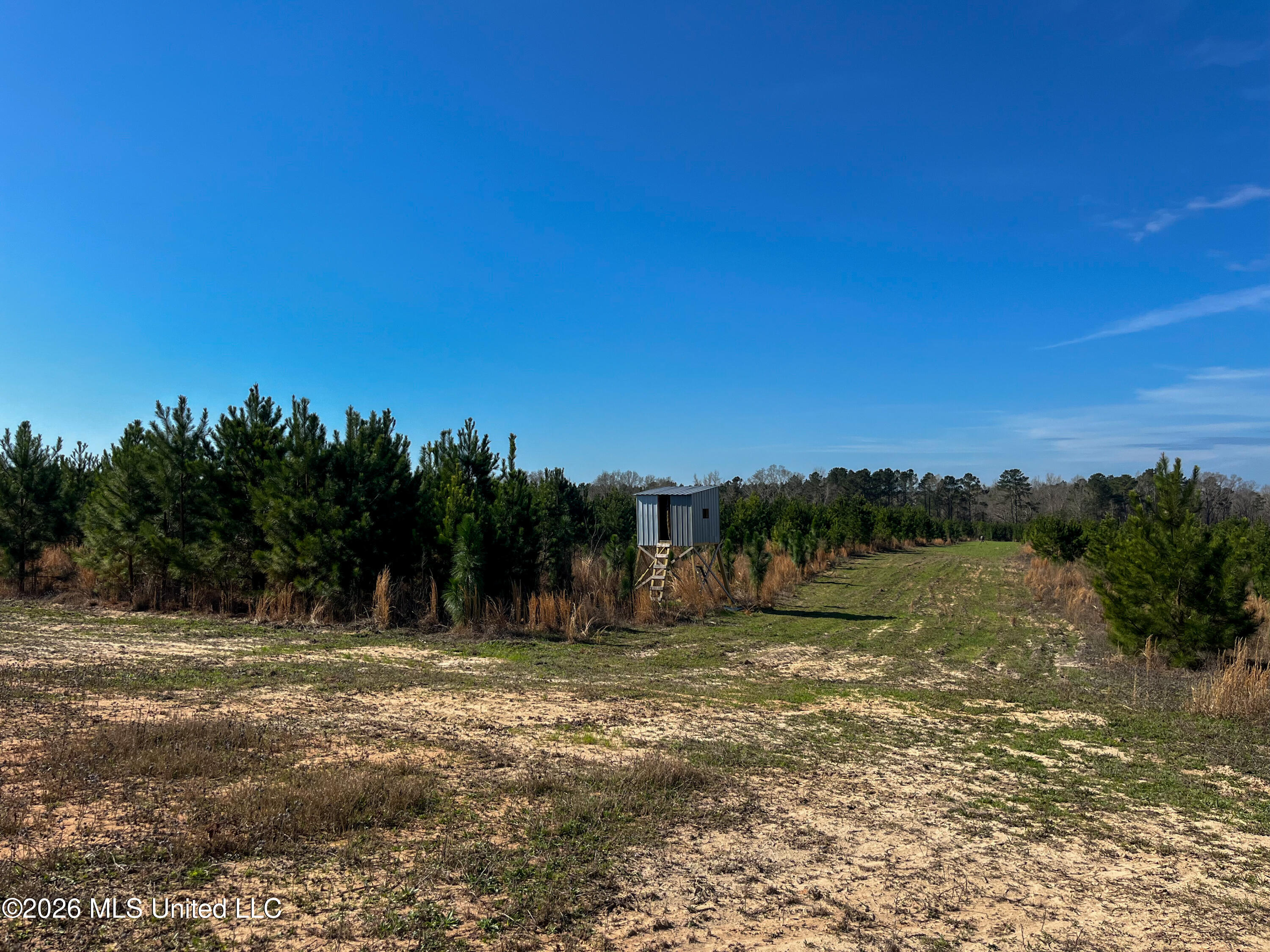 Liberty Church Road Newton, MS 39345 - Photo 31 of 49 IMG_2538