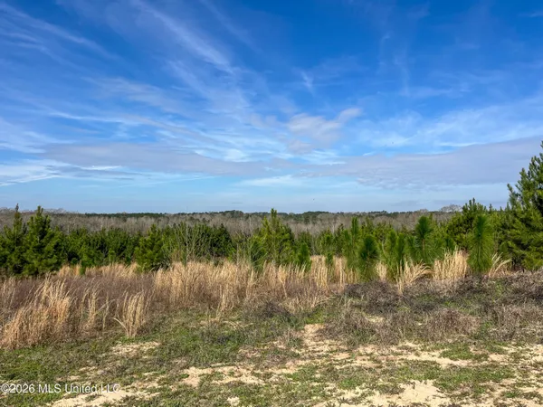 $174,305 | Liberty Church Road, Newton, MS 39345