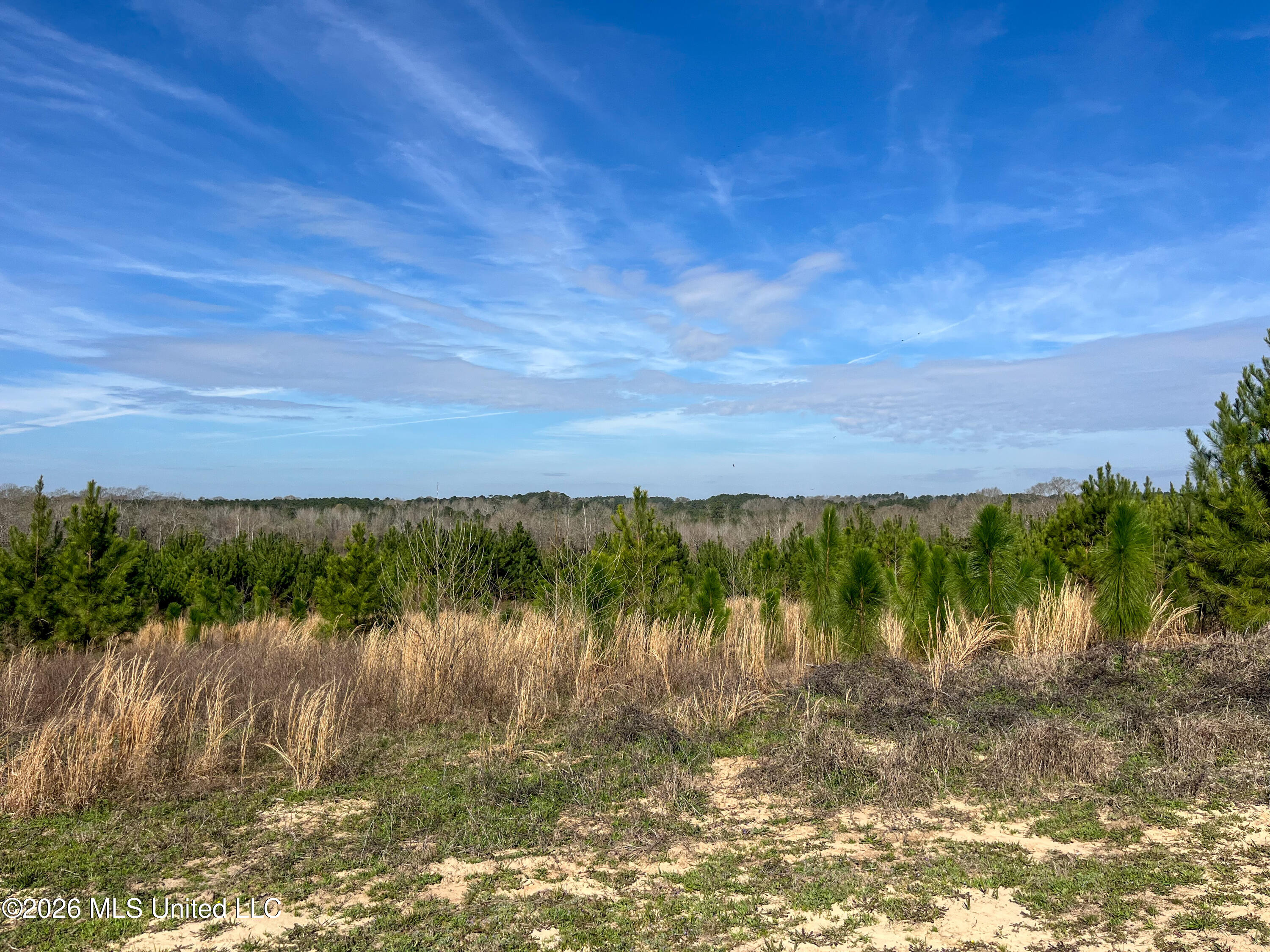 Liberty Church Road Newton, MS 39345 - Photo 32 of 49 IMG_2539