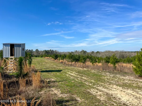 $174,305 | Liberty Church Road, Newton, MS 39345