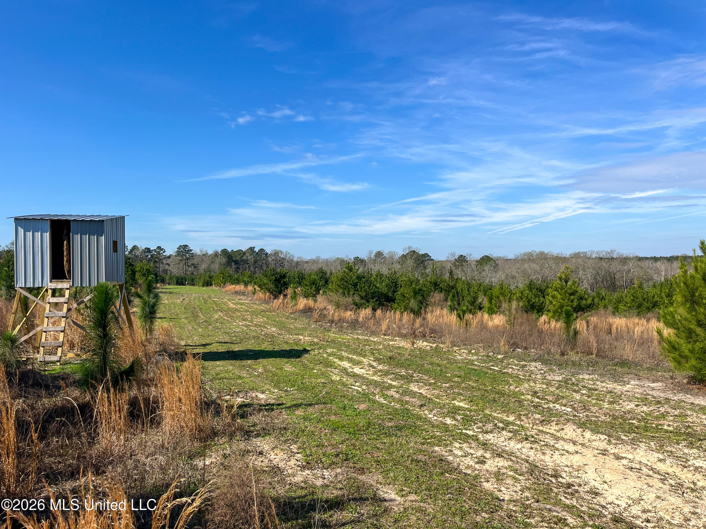Liberty Church Road Newton, MS 39345 - Photo 33 of 49 IMG_2541