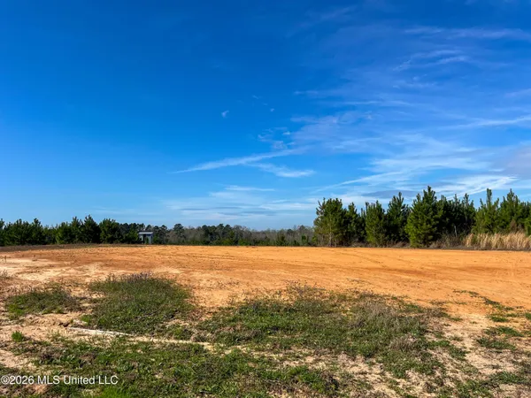 $174,305 | Liberty Church Road, Newton, MS 39345