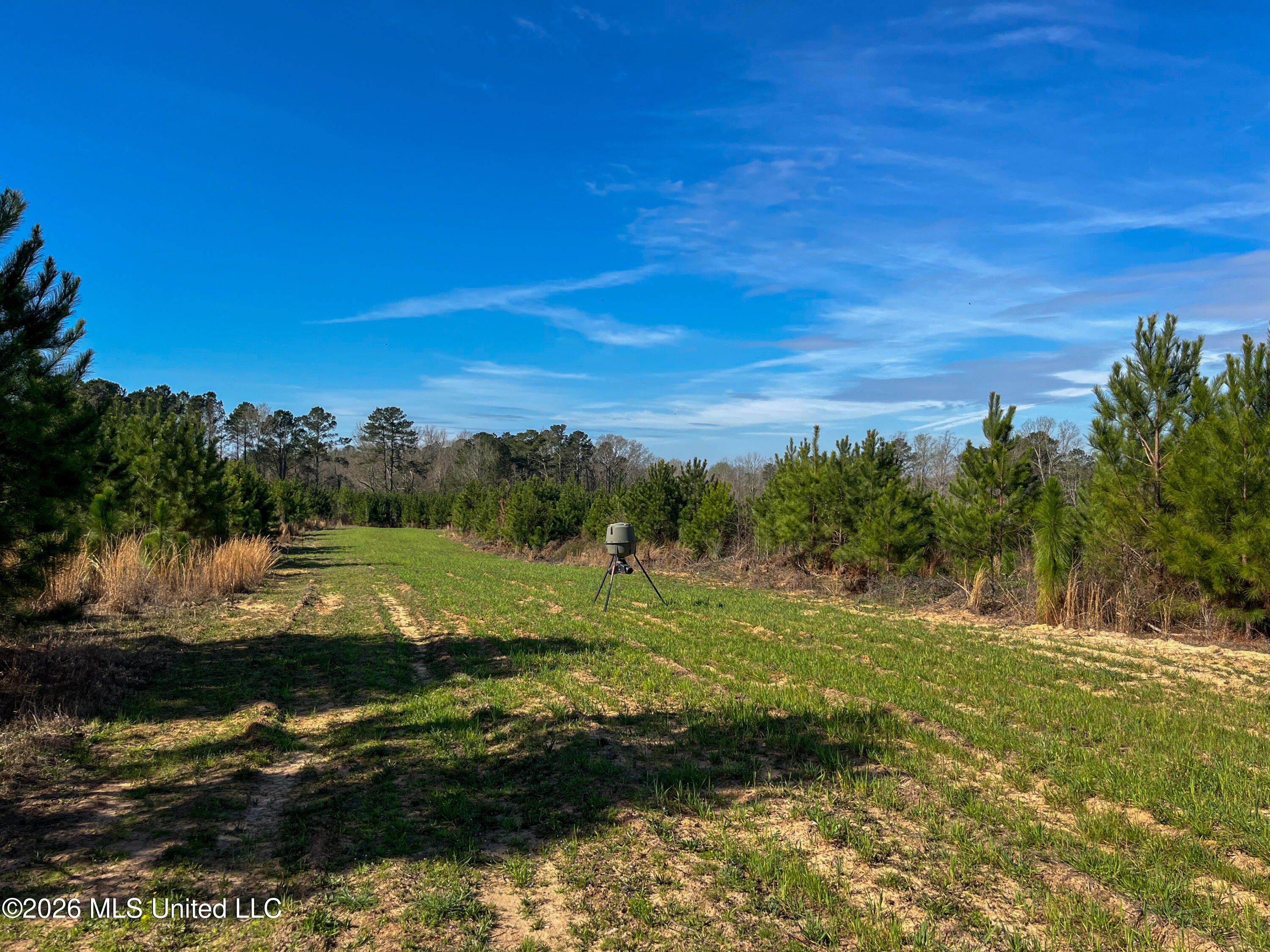 Liberty Church Road Newton, MS 39345 - Photo 35 of 49 IMG_2547