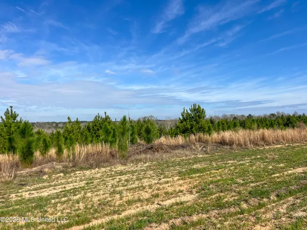 $174,305 | Liberty Church Road, Newton, MS 39345