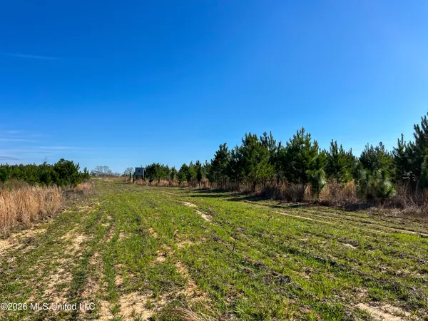 $174,305 | Liberty Church Road, Newton, MS 39345
