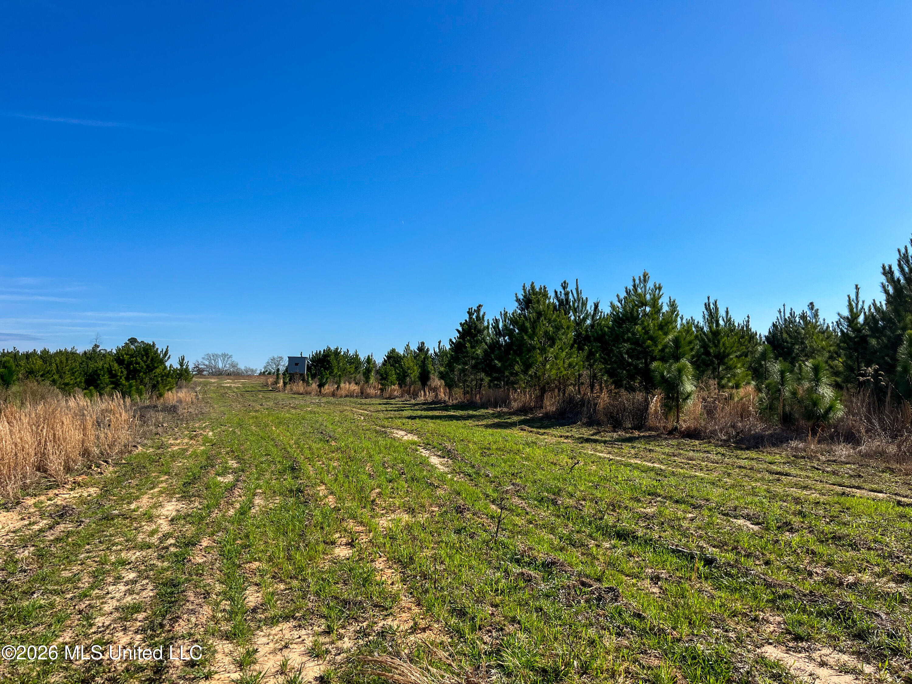 Liberty Church Road Newton, MS 39345 - Photo 37 of 49 IMG_2549