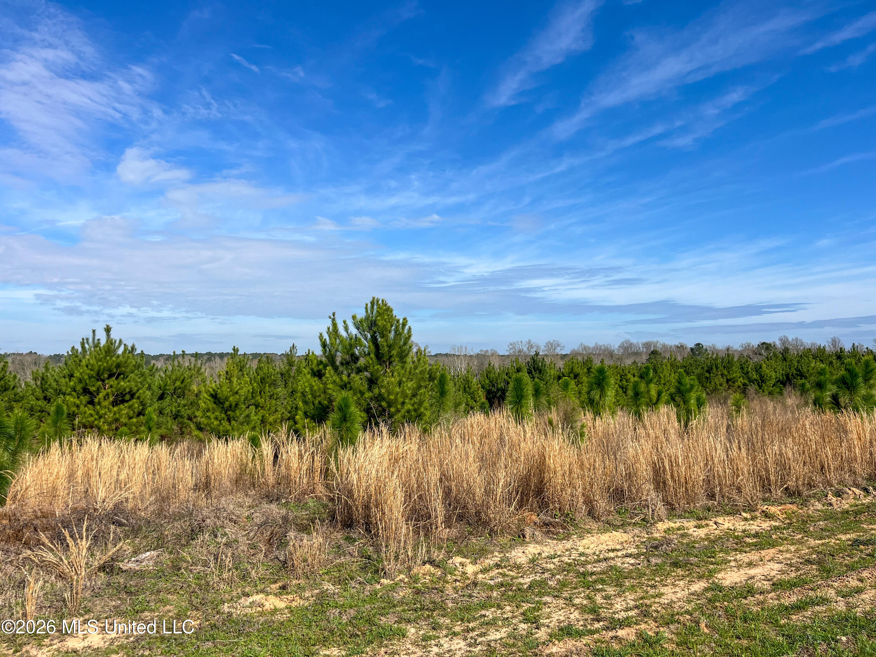 Liberty Church Road Newton, MS 39345 - Photo 38 of 49 IMG_2550