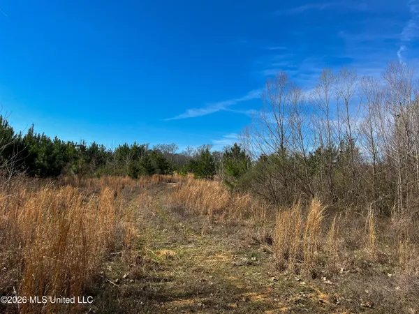 $174,305 | Liberty Church Road, Newton, MS 39345