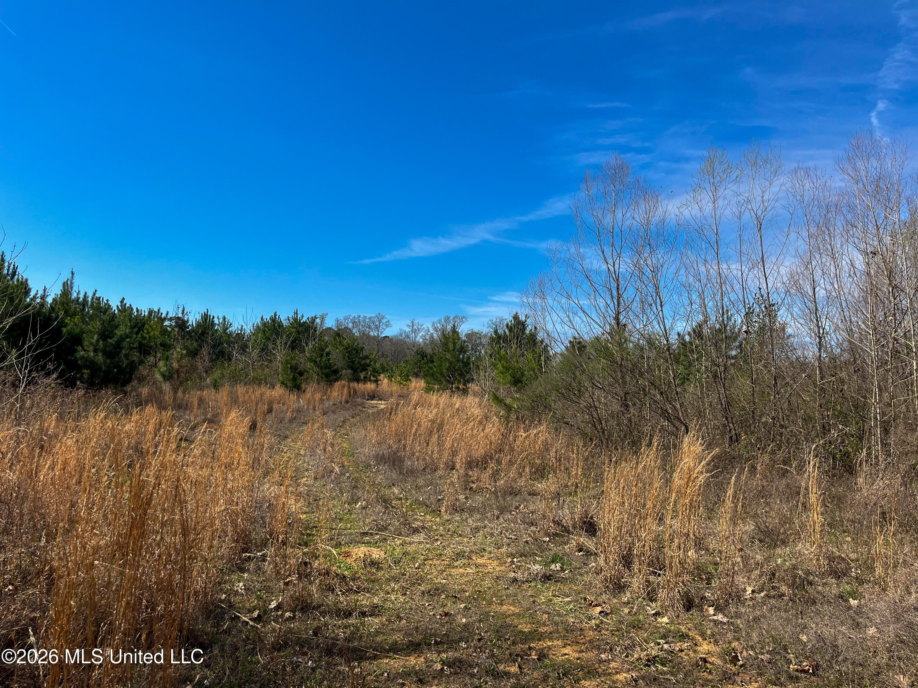 Liberty Church Road Newton, MS 39345 - Photo 44 of 49 IMG_2559