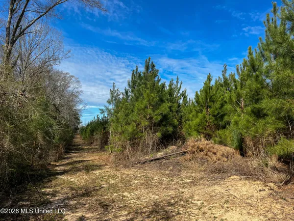 $174,305 | Liberty Church Road, Newton, MS 39345
