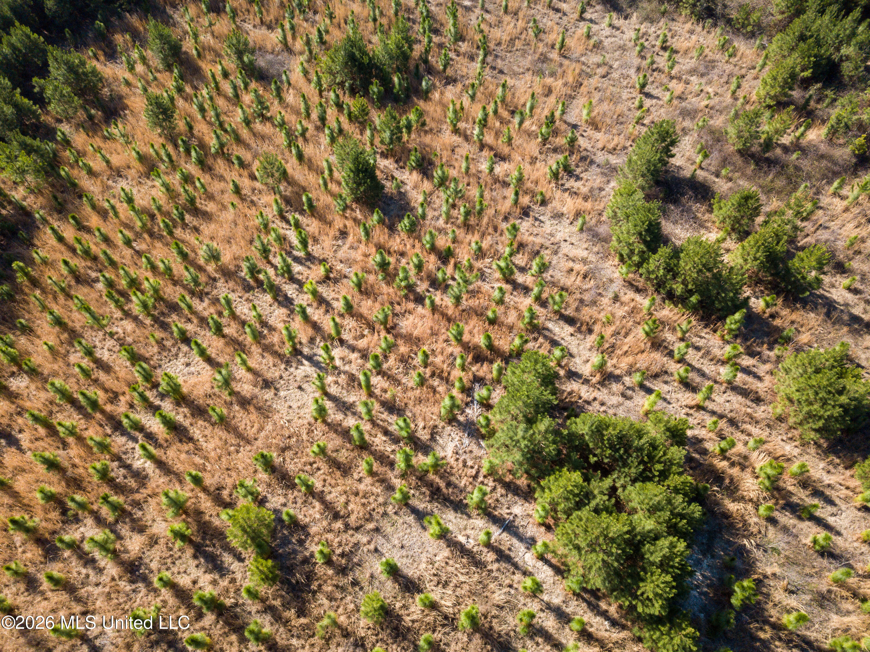Liberty Church Road Newton, MS 39345 - Photo 6 of 49 DJI_0771