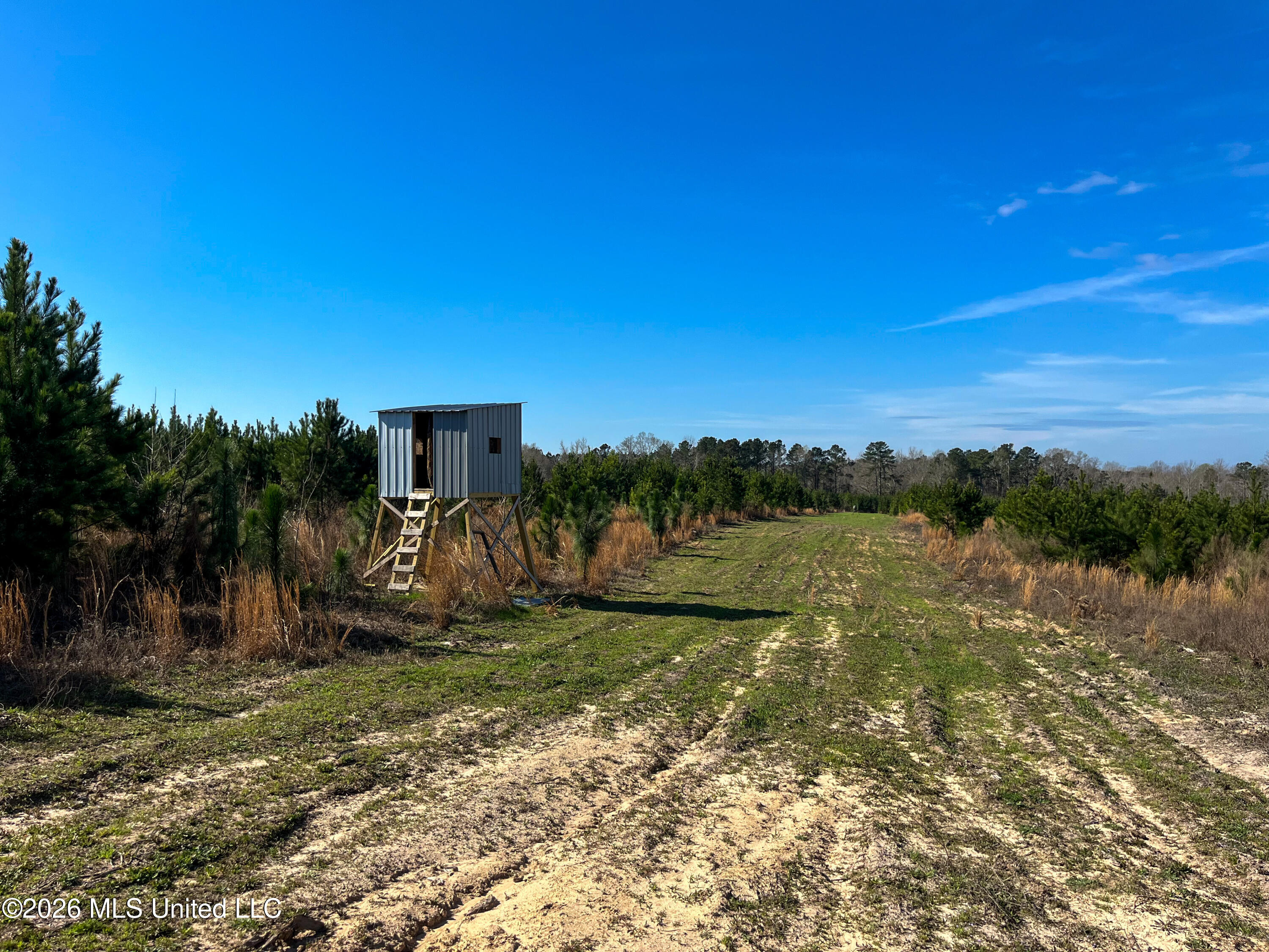Liberty Church Road Newton, MS 39345 - Photo 8 of 49 IMG_2540