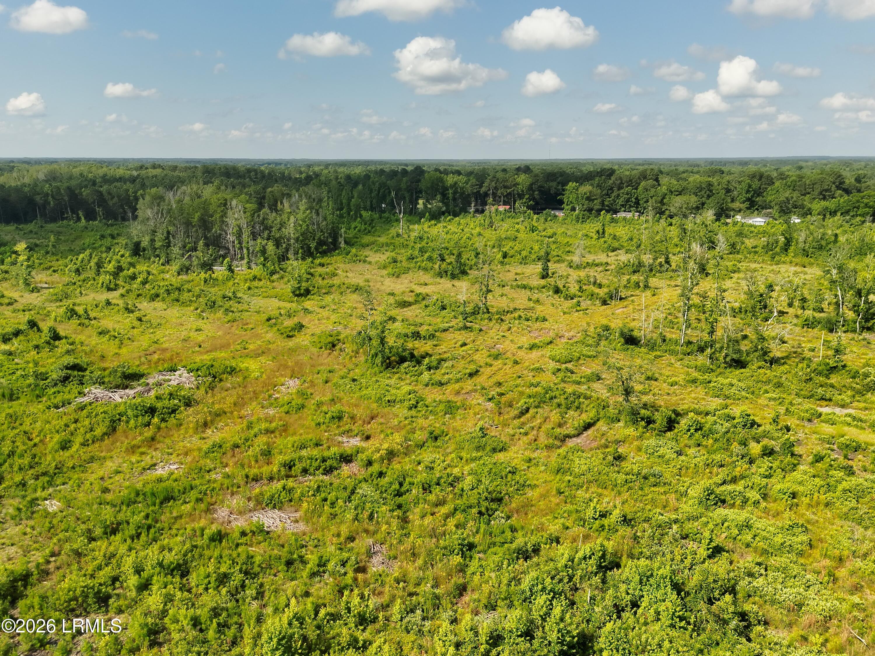 Tbd Hunters Chapel Road Bamberg, SC 29003 - Photo 10 of 14 DJI_20260630102043_0010_V
