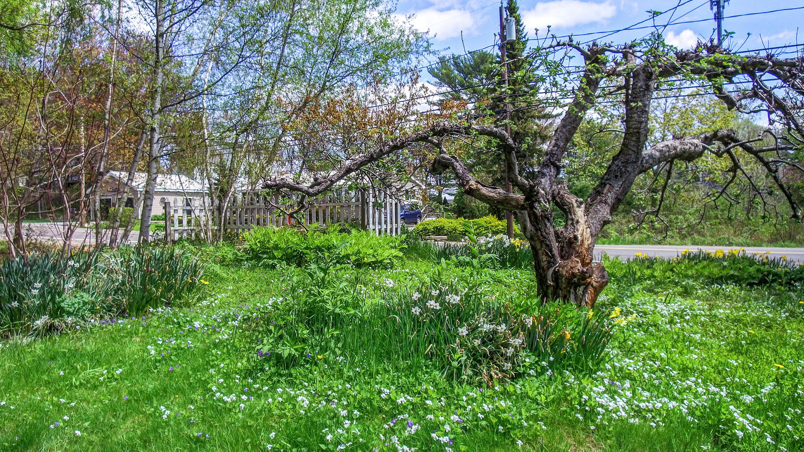 54 Middle Road Woolwich, ME 04579 - Photo 12 of 51 19_DJI_0090_1_2_3_4_DxO_mls