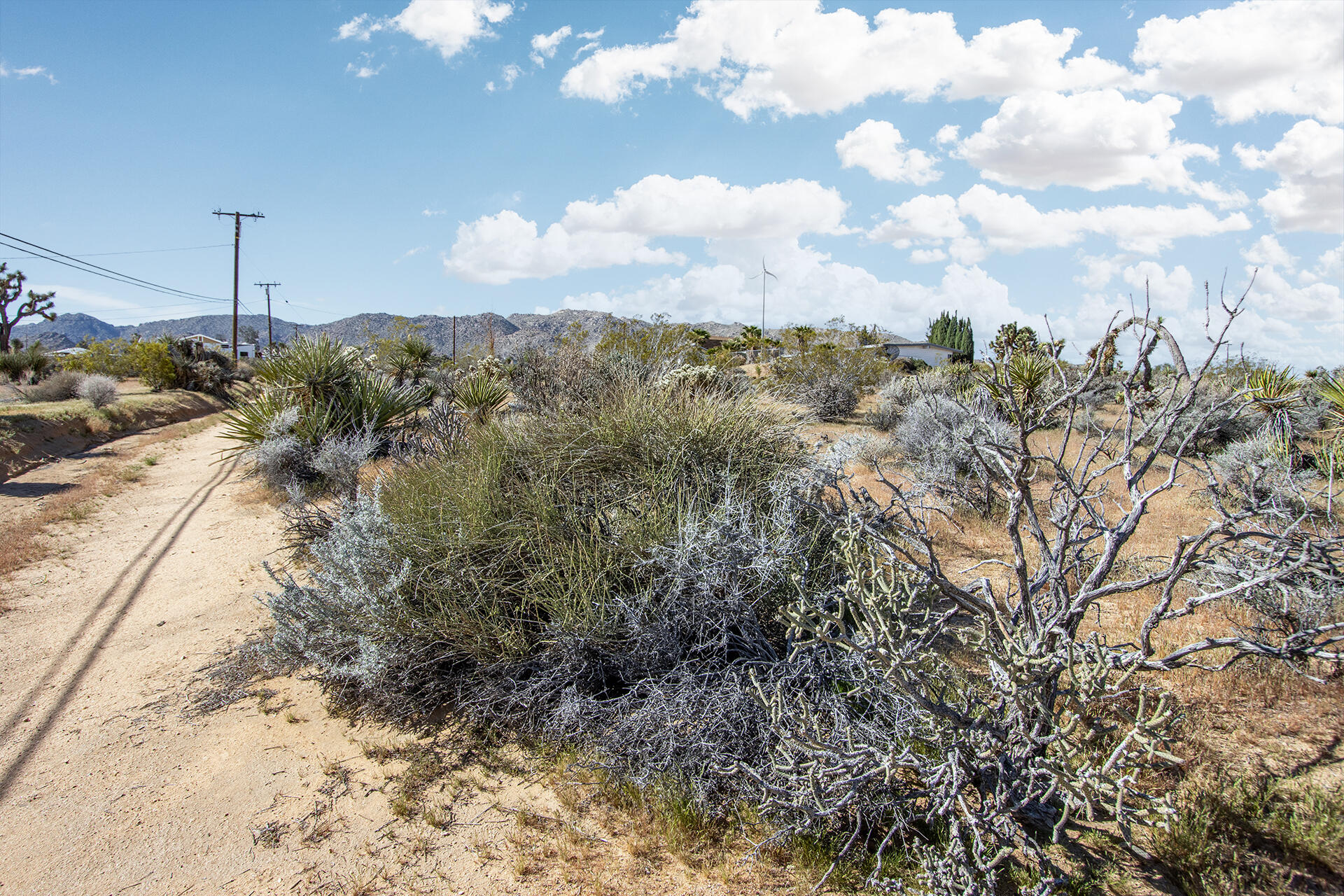 102 Saddleback Road Joshua Tree, CA 92252 - Photo 11 of 18 IMG_7719