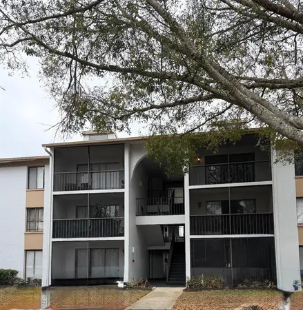 a view of a house with a large tree