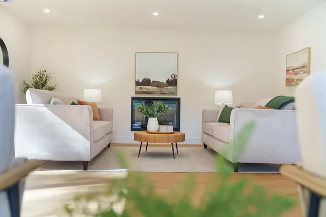 a living room with furniture and a potted plant