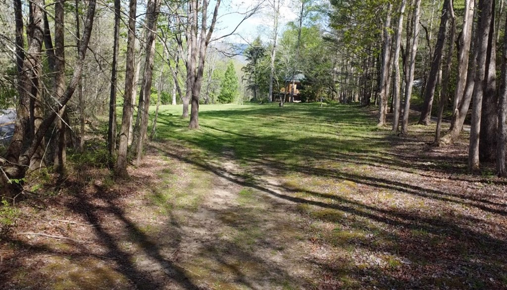 8158 Beaver Dam Road Murphy, NC 28906 - Photo 17 of 21