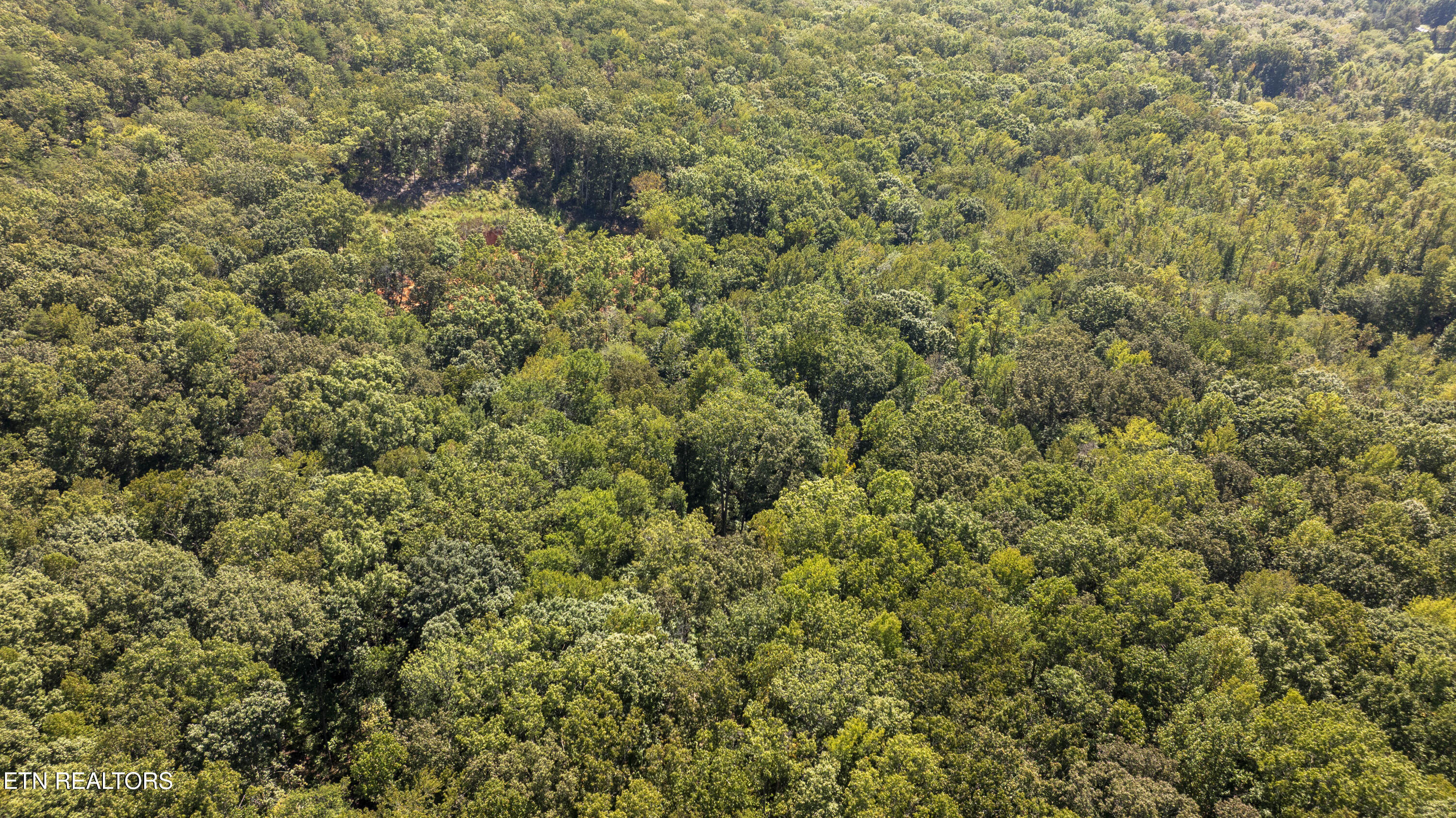 28.6-acres Clifton Cemetery Road Spring City, TN 37381 - Photo 12 of 19 DJI_20250911142948_0101_D