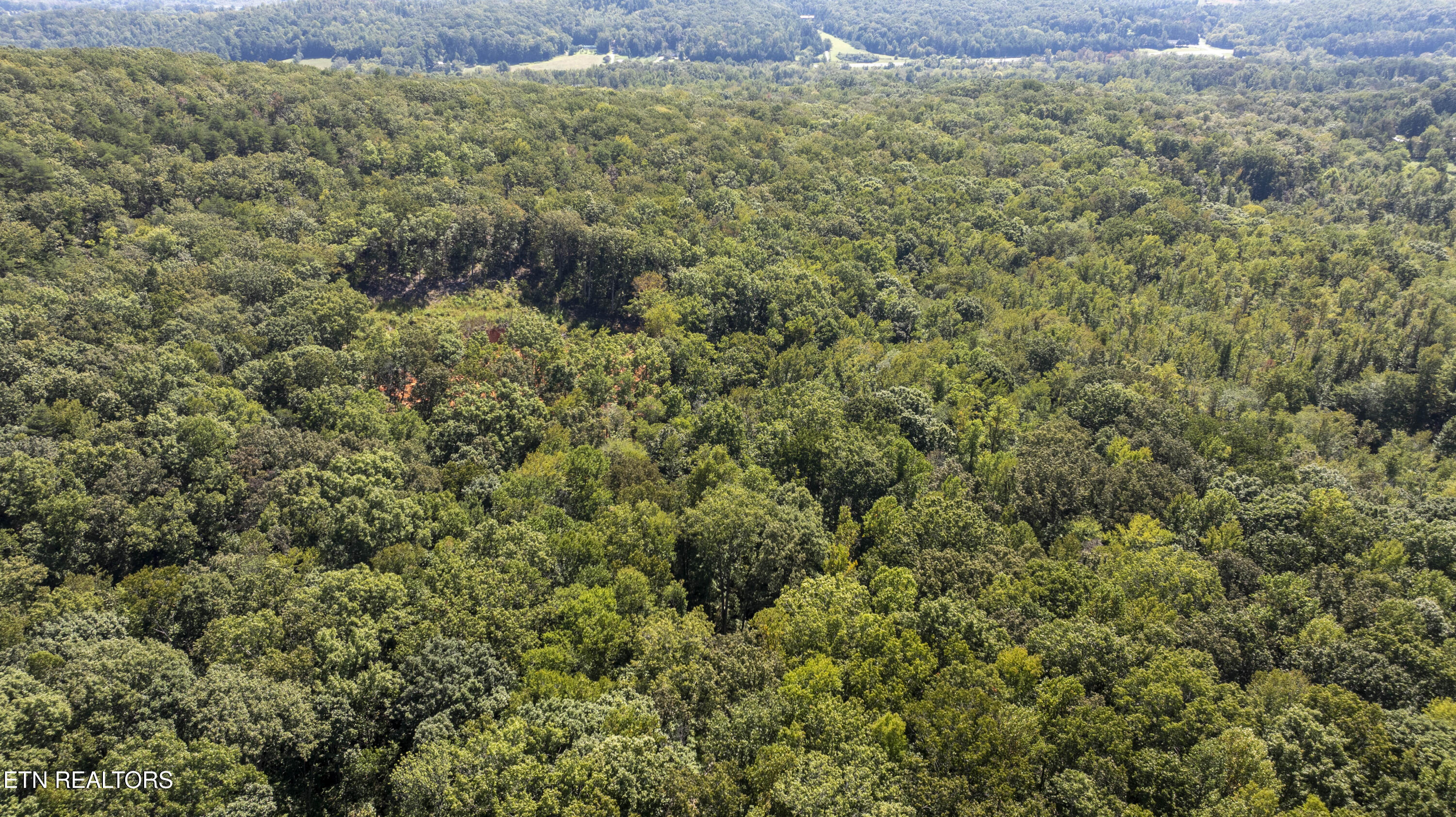 28.6-acres Clifton Cemetery Road Spring City, TN 37381 - Photo 13 of 19 DJI_20250911142952_0102_D