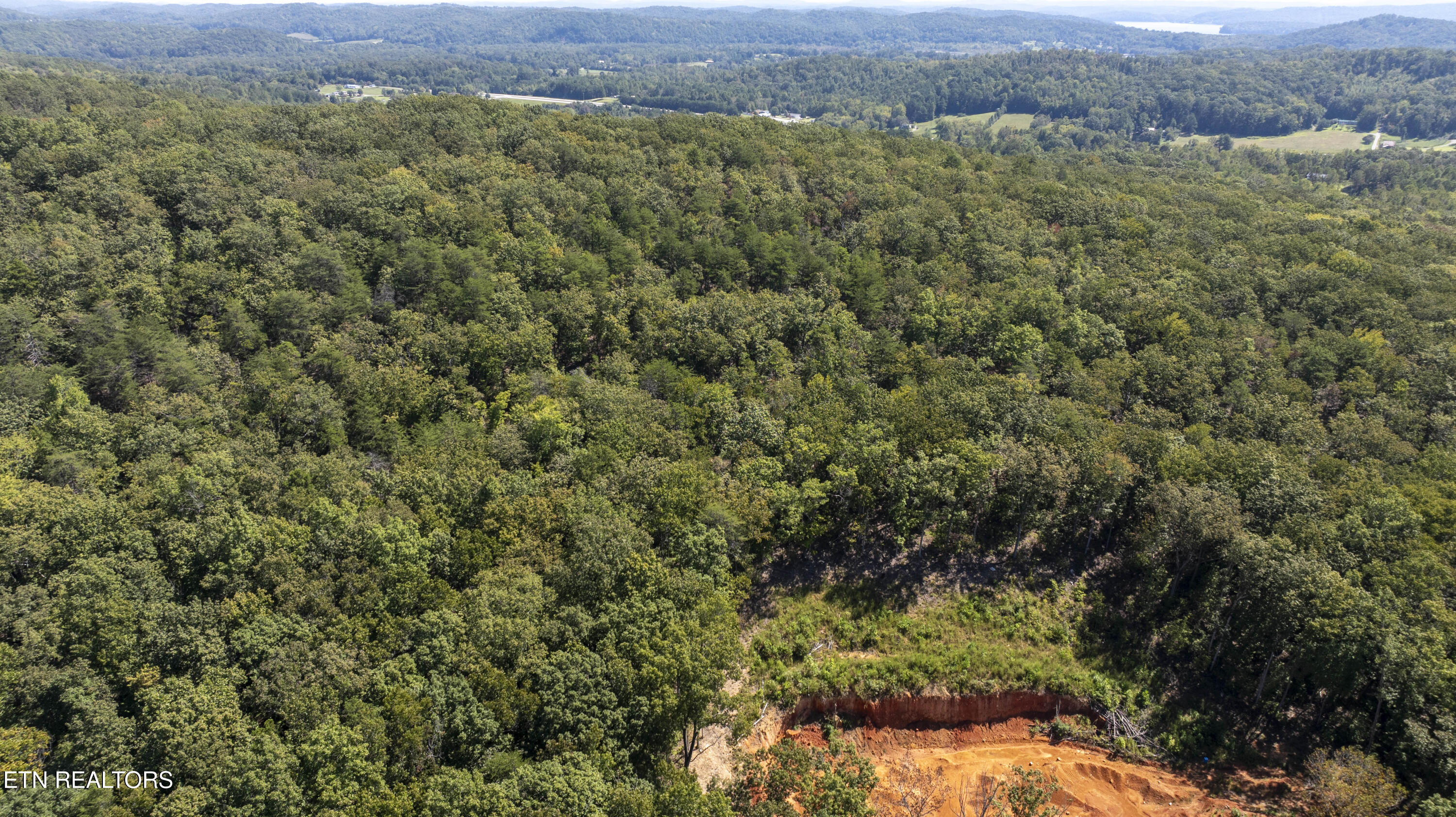 28.6-acres Clifton Cemetery Road Spring City, TN 37381 - Photo 18 of 19 DJI_20250911143301_0107_D