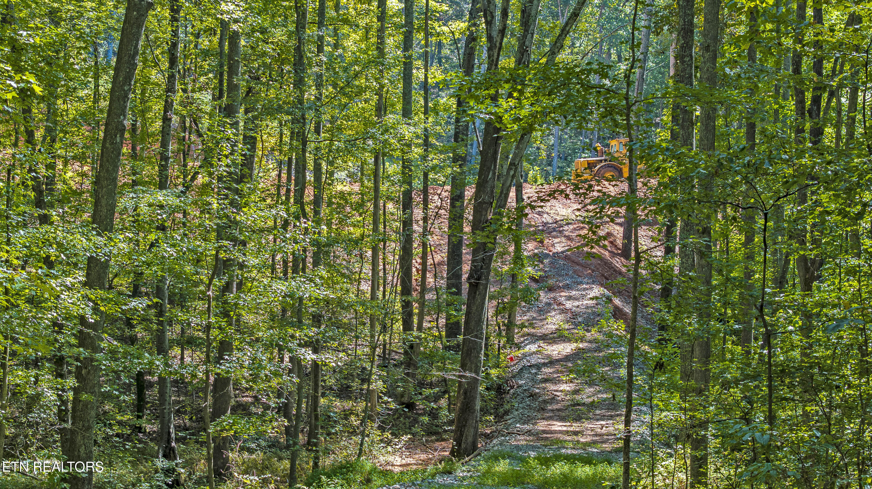 28.6-acres Clifton Cemetery Road Spring City, TN 37381 - Photo 4 of 19 DJI_20250911143538_0109_D