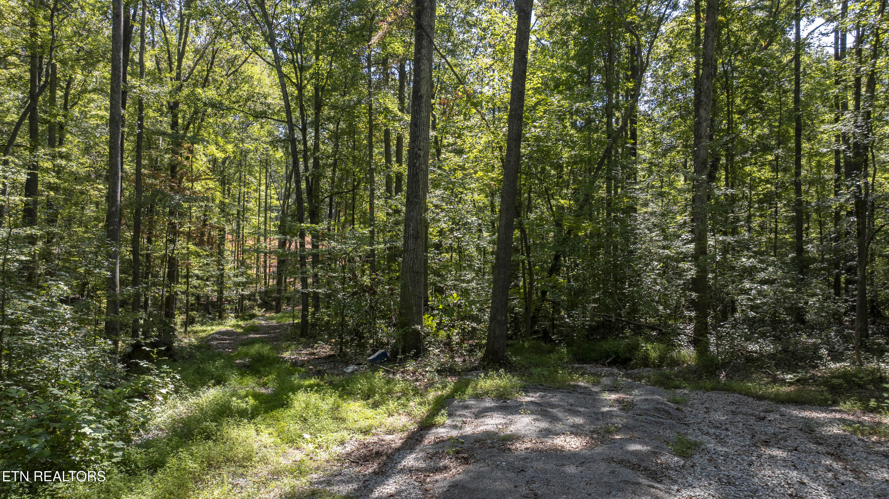 28.6-acres Clifton Cemetery Road Spring City, TN 37381 - Photo 10 of 19 DJI_20250911142818_0099_D