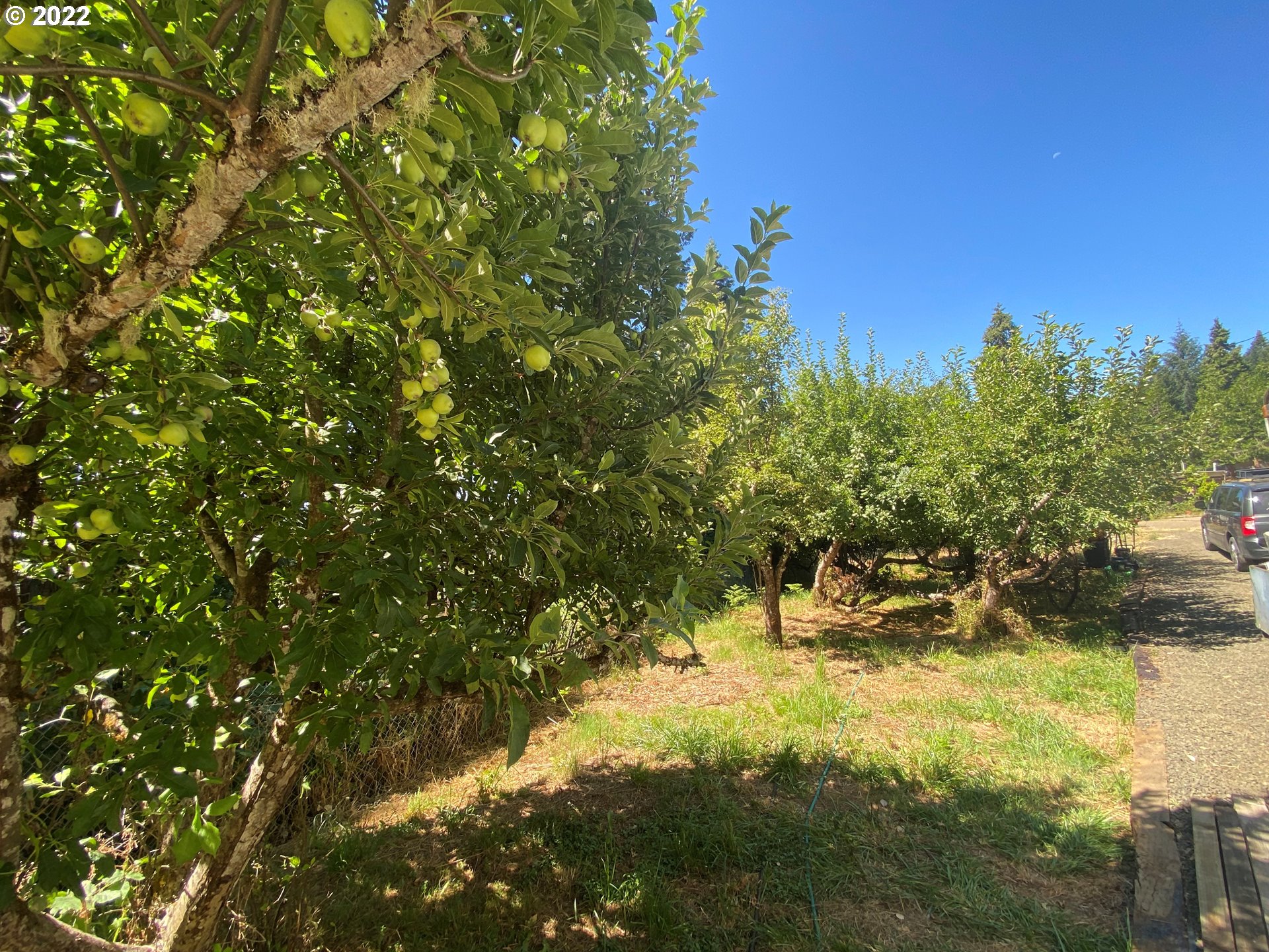 2457 Doerner Road Roseburg, OR 97471 - Photo 9 of 10