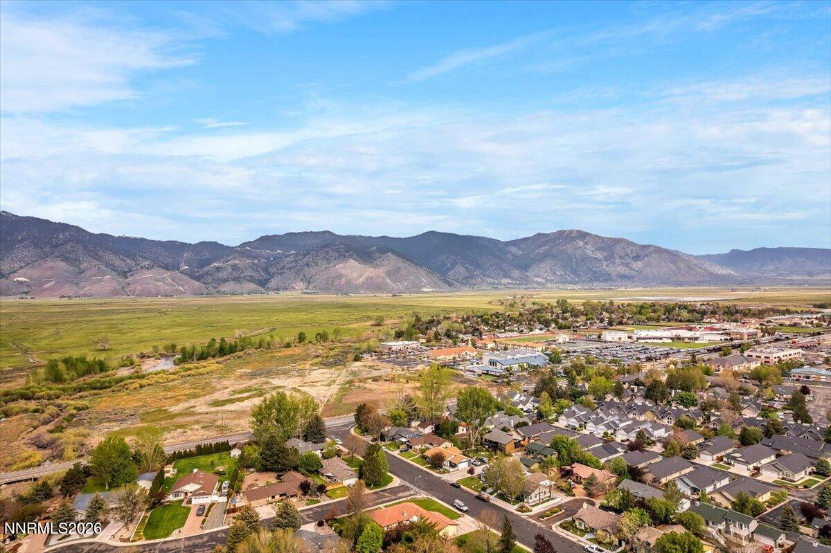 1607 Olua Street Minden, NV 89423 - Photo 68 of 75 11-DJI_0426