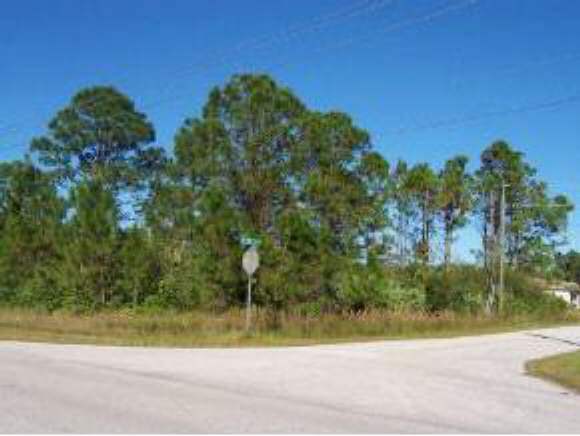 0 Southwest Schuster Garvey Road Palm Bay, FL 32908 - Photo 1 of 2 Primary Photo