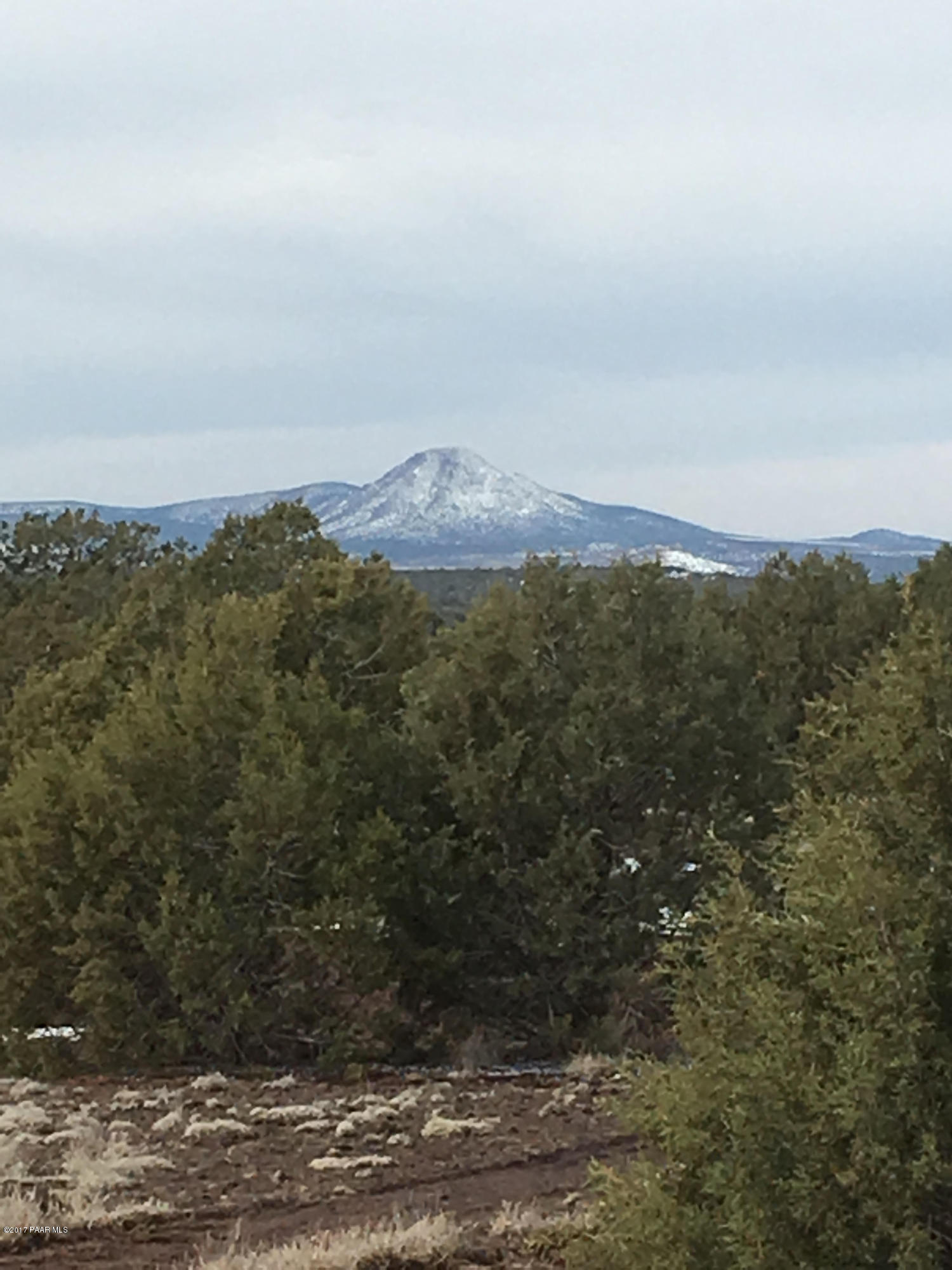 3808 North Hillside Road Williams, AZ 86046 - Photo 9 of 12 Snow capped mountain views