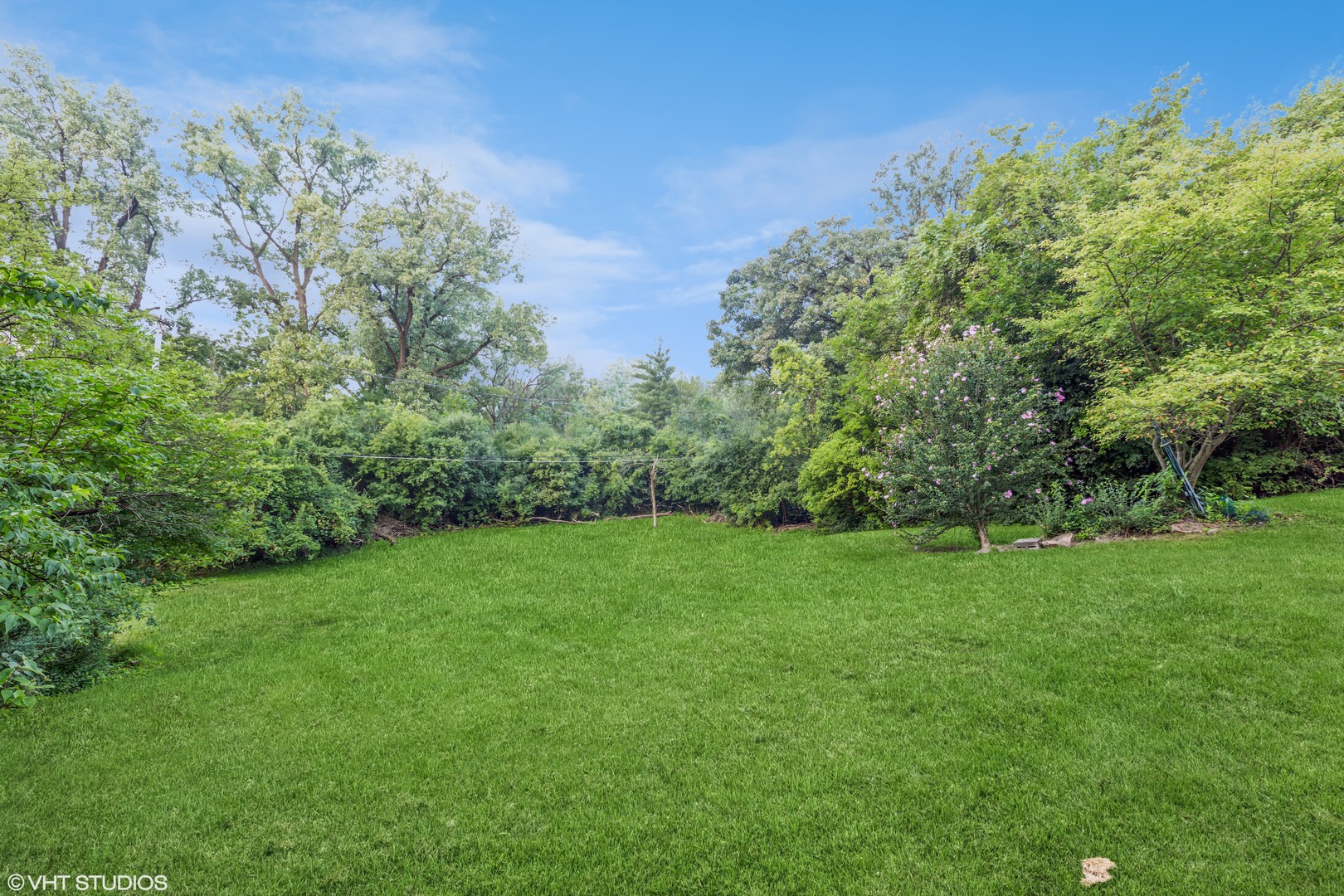 828 Exmoor Road Olympia Fields, IL 60461 - Photo 8 of 9 a view of a big yard with plants and large trees