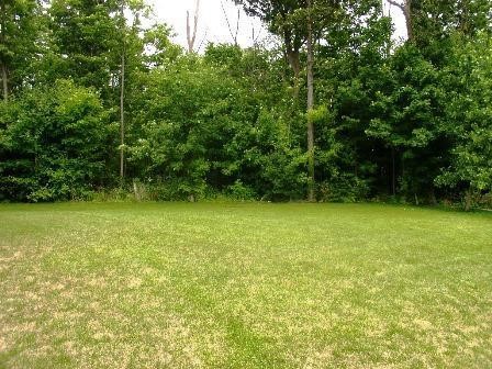 2067 Baron Rochester, MI 48307 - Photo 8 of 8 31042291-7.JPG