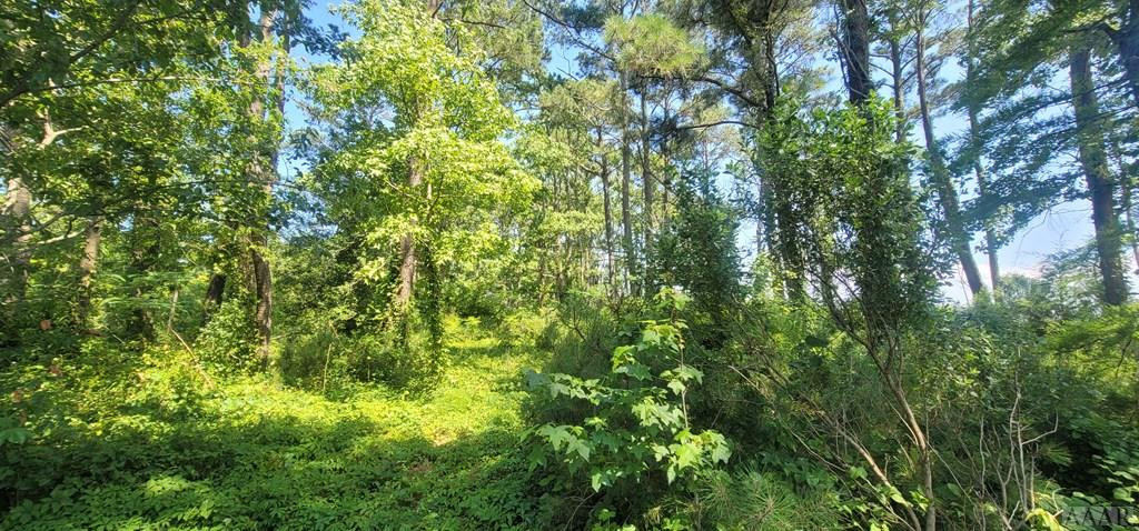 145 Sailboat Road Shiloh, NC 27974 - Photo 2 of 23 Gallery Image 2