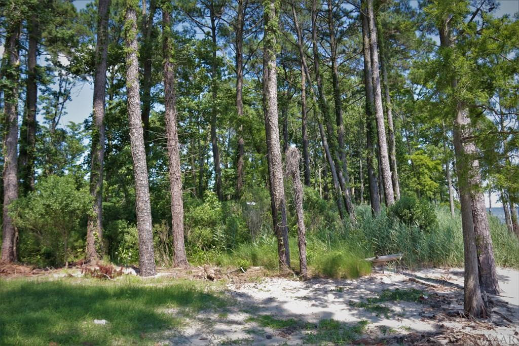 145 Sailboat Road Shiloh, NC 27974 - Photo 6 of 23 Gallery Image 6