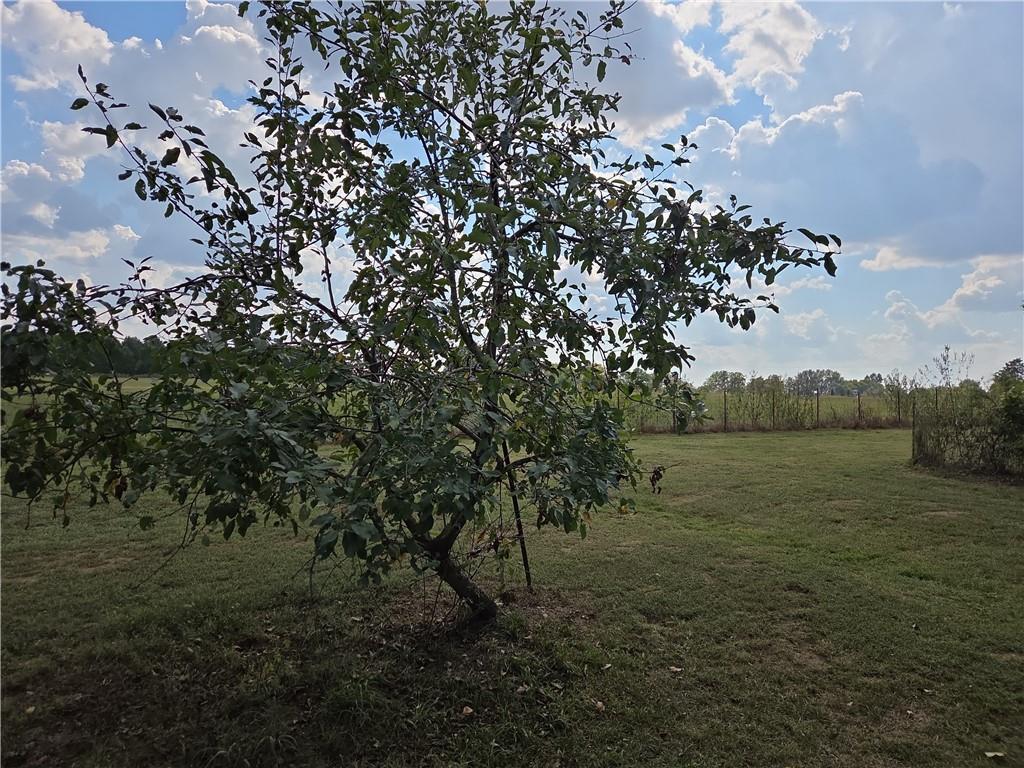 9351 South 2700th Road Harwood, MO 64750 - Photo 33 of 60