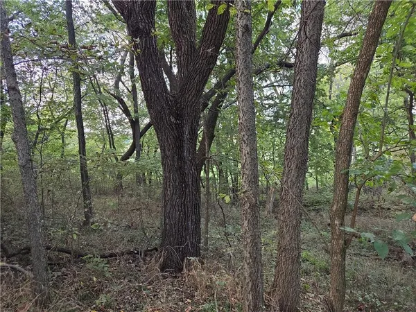 $215,000 | 9351 South 2700th Road, Harwood, MO 64750