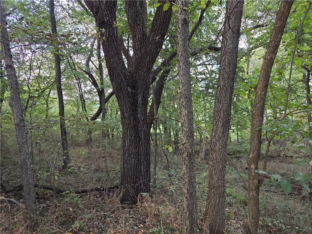 9351 South 2700th Road Harwood, MO 64750 - Photo 34 of 60