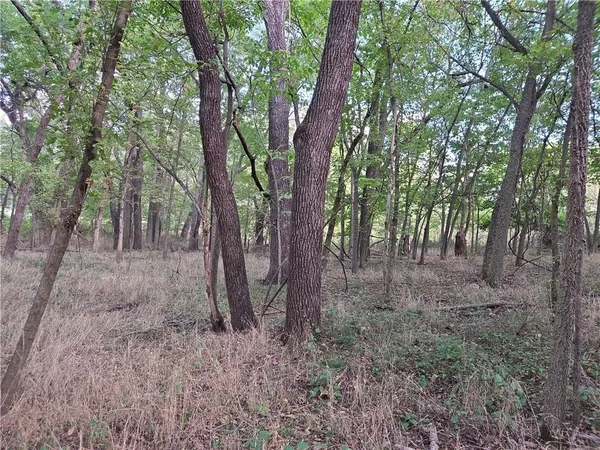 $215,000 | 9351 South 2700th Road, Harwood, MO 64750