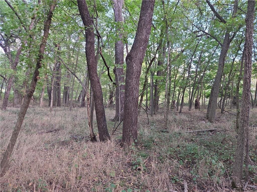 9351 South 2700th Road Harwood, MO 64750 - Photo 36 of 60
