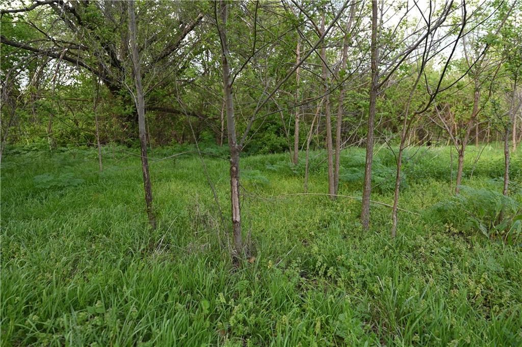 9351 South 2700th Road Harwood, MO 64750 - Photo 60 of 60