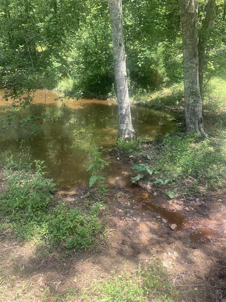 1212 Natural Bridge Road Waynesboro, TN 38485 - Photo 22 of 25 Gallery Image 22