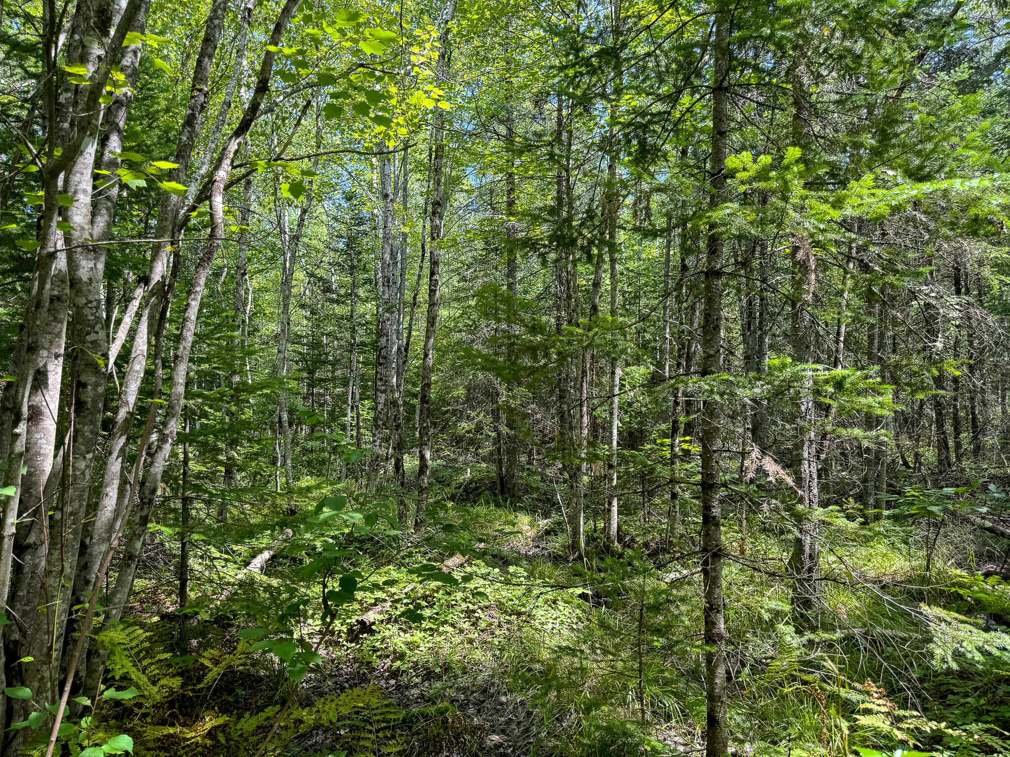 M9-l20-1 Valley Road Etna, ME 04434 - Photo 13 of 33
