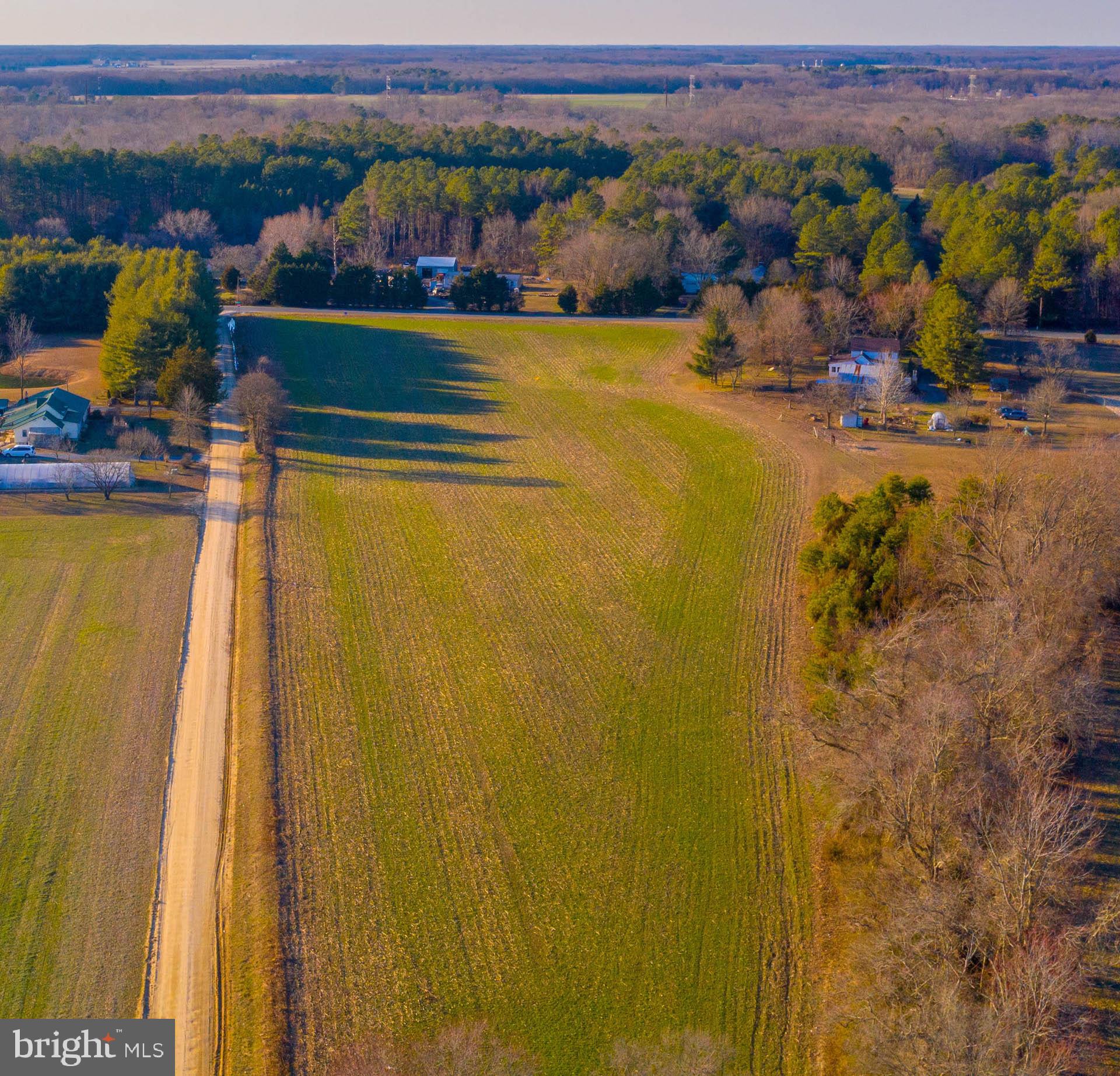 Bilbrough Road Goldsboro, MD 21636 - Photo 4 of 26 Gallery Image 4