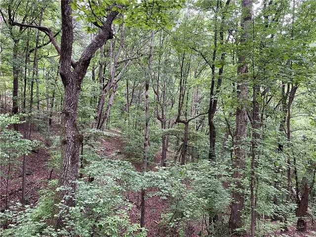a view of a road with a yard