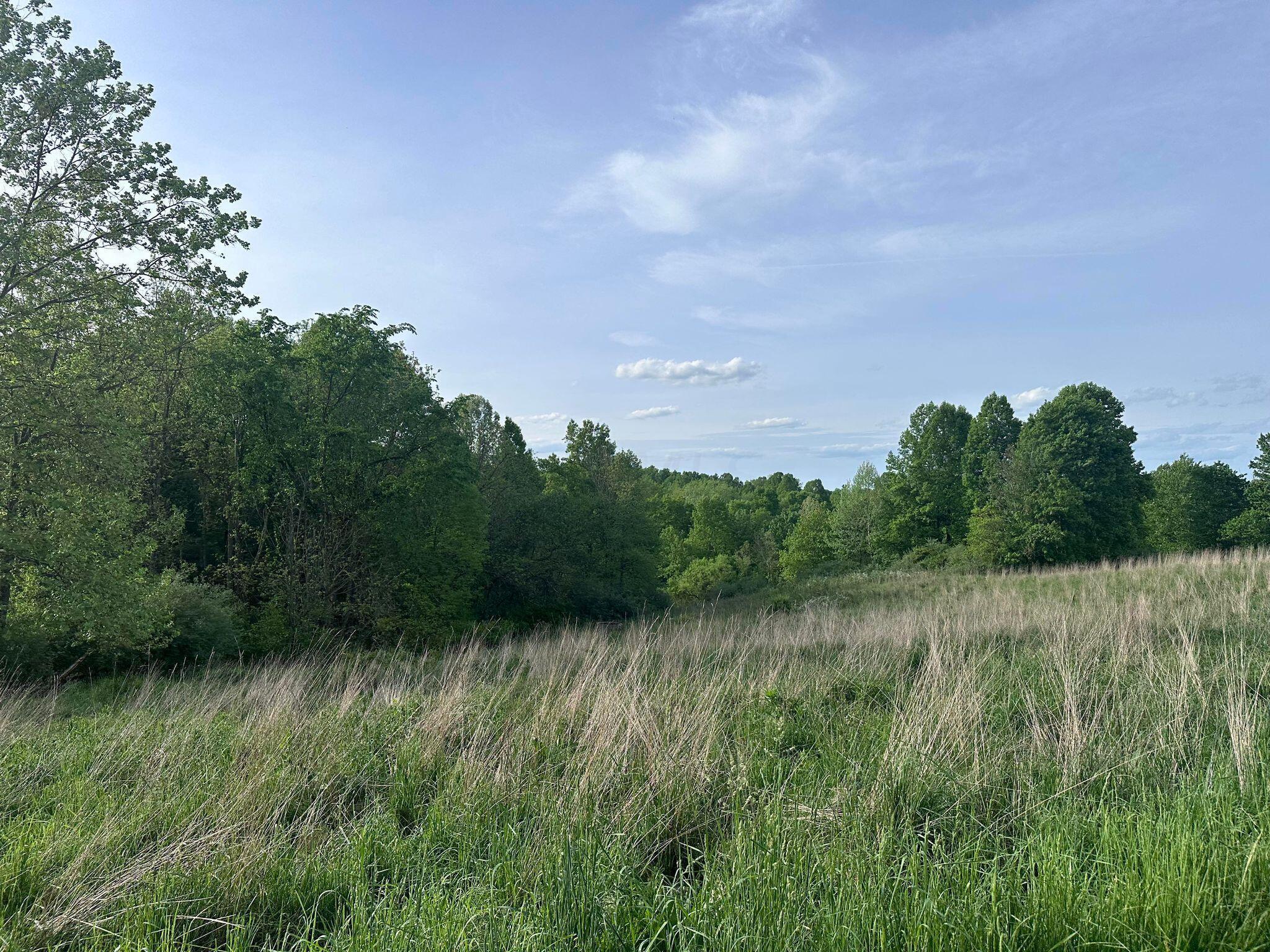 5159 Barr Road McConnelsville, OH 43756 - Photo 13 of 80 Pasture