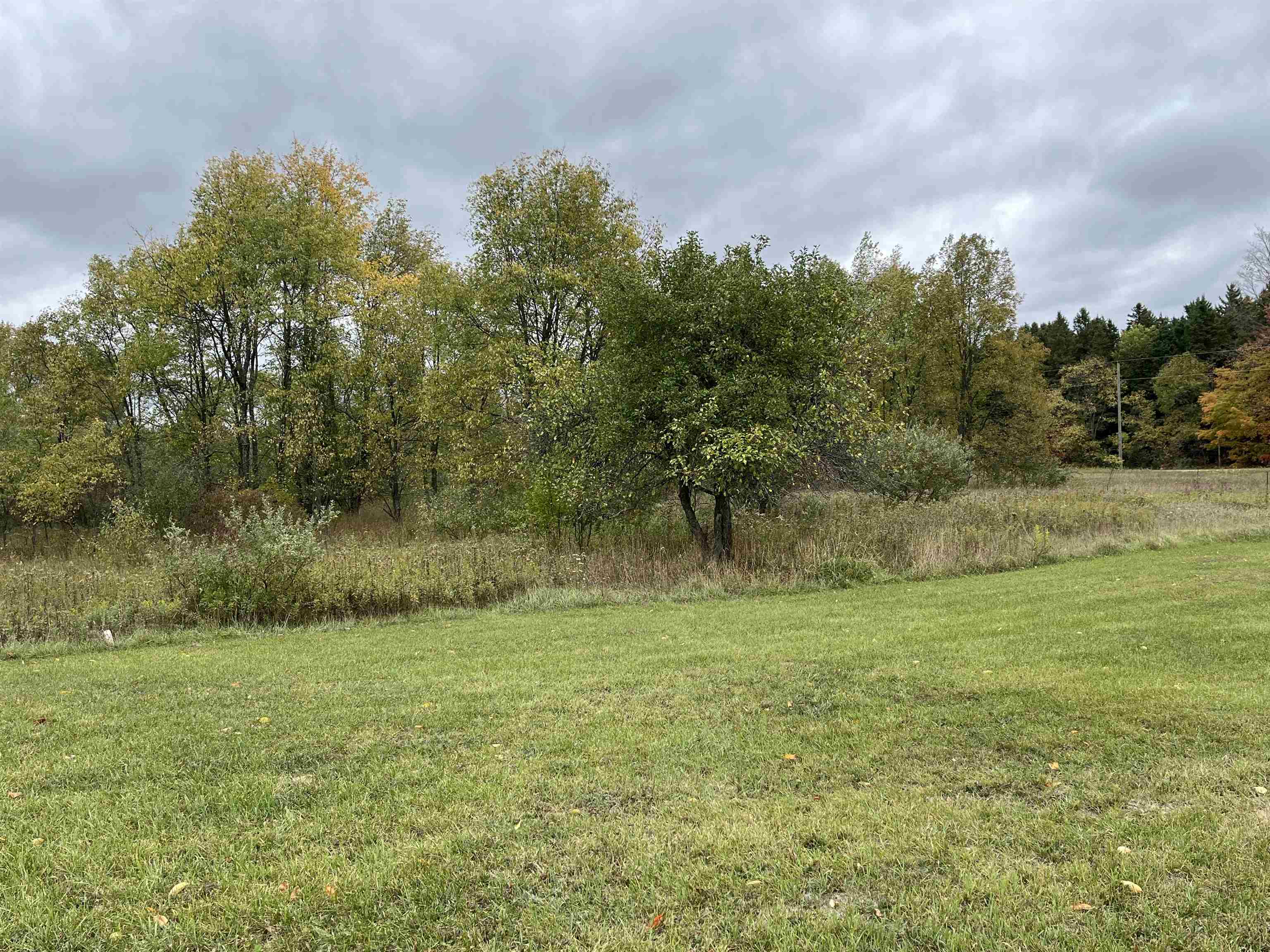 4132 Long Road Thompsonville, MI 49683 - Photo 29 of 34 Gallery Image 29