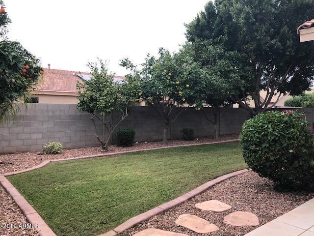 14421 West Redfield Road Surprise, AZ 85379 - Photo 16 of 20 thumbnail-384