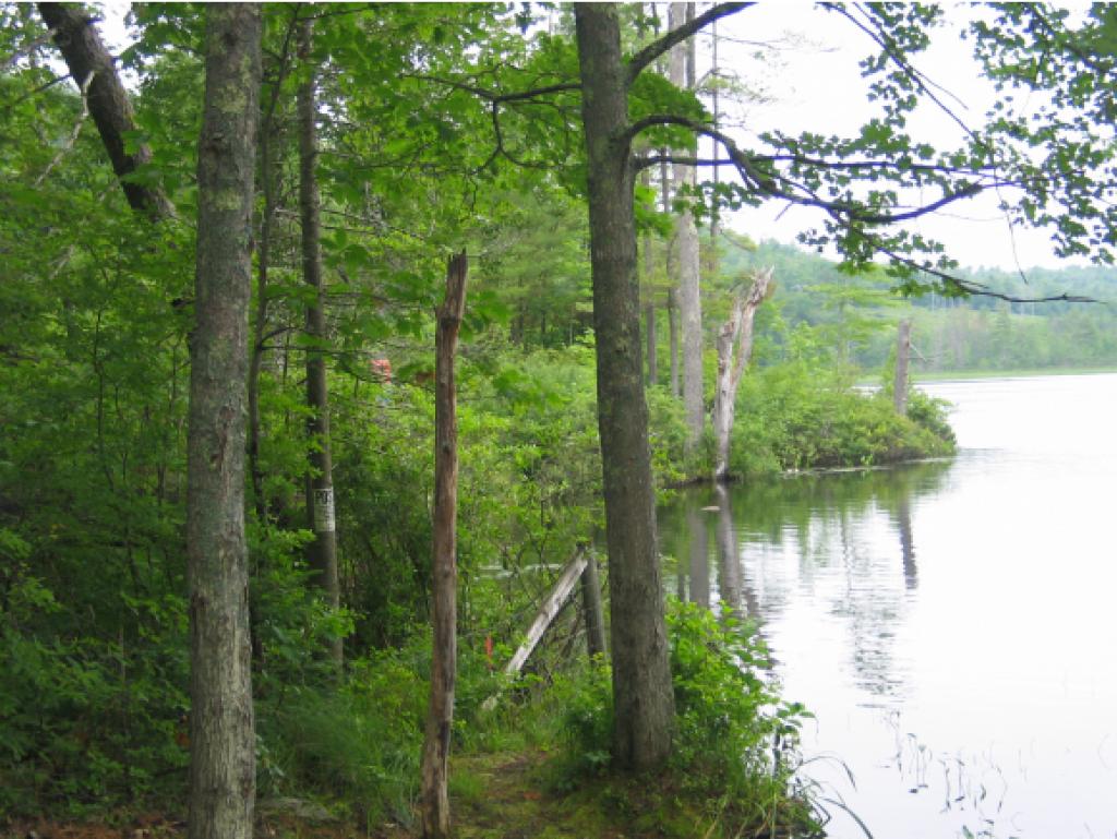 0 French Pond Road Antrim, NH 03440 - Photo 1 of 5 Gallery Image 1
